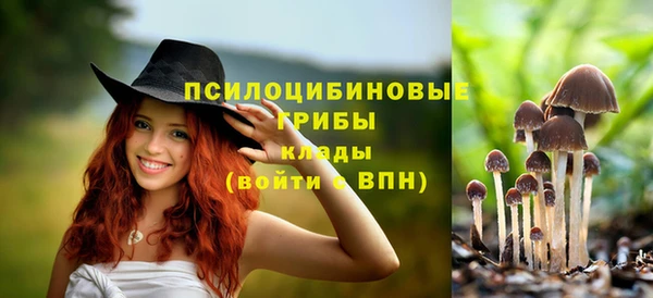 прущие грибы Бугульма