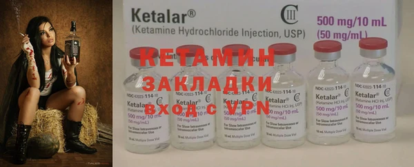 прущие грибы Бугульма
