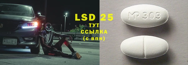 прущие грибы Бугульма