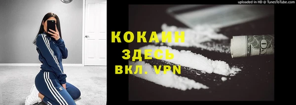 прущие грибы Бугульма