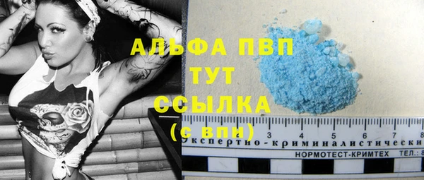 прущие грибы Бугульма