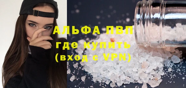 прущие грибы Бугульма