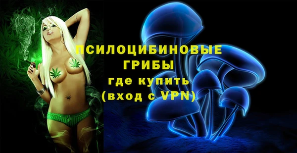 прущие грибы Бугульма