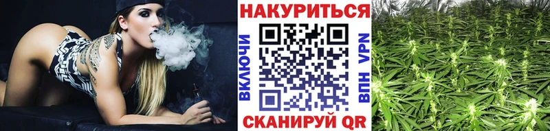 Канабис планчик Купить закладки Яровое